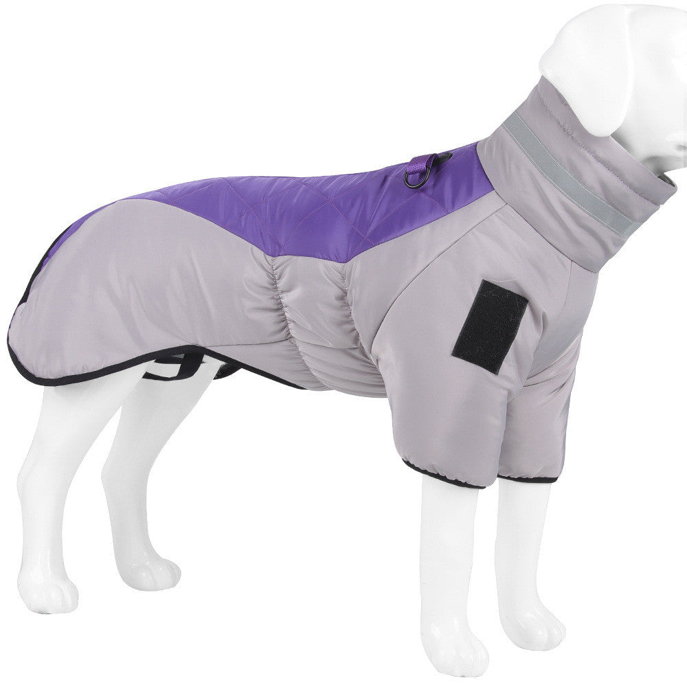 Dog coat