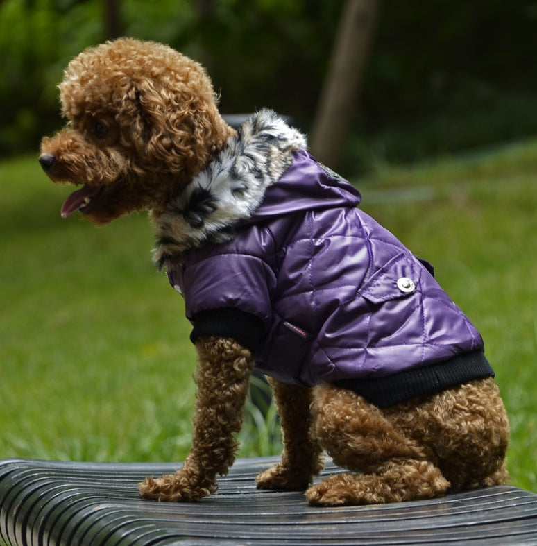 Dog autumn and winter fur collar coat