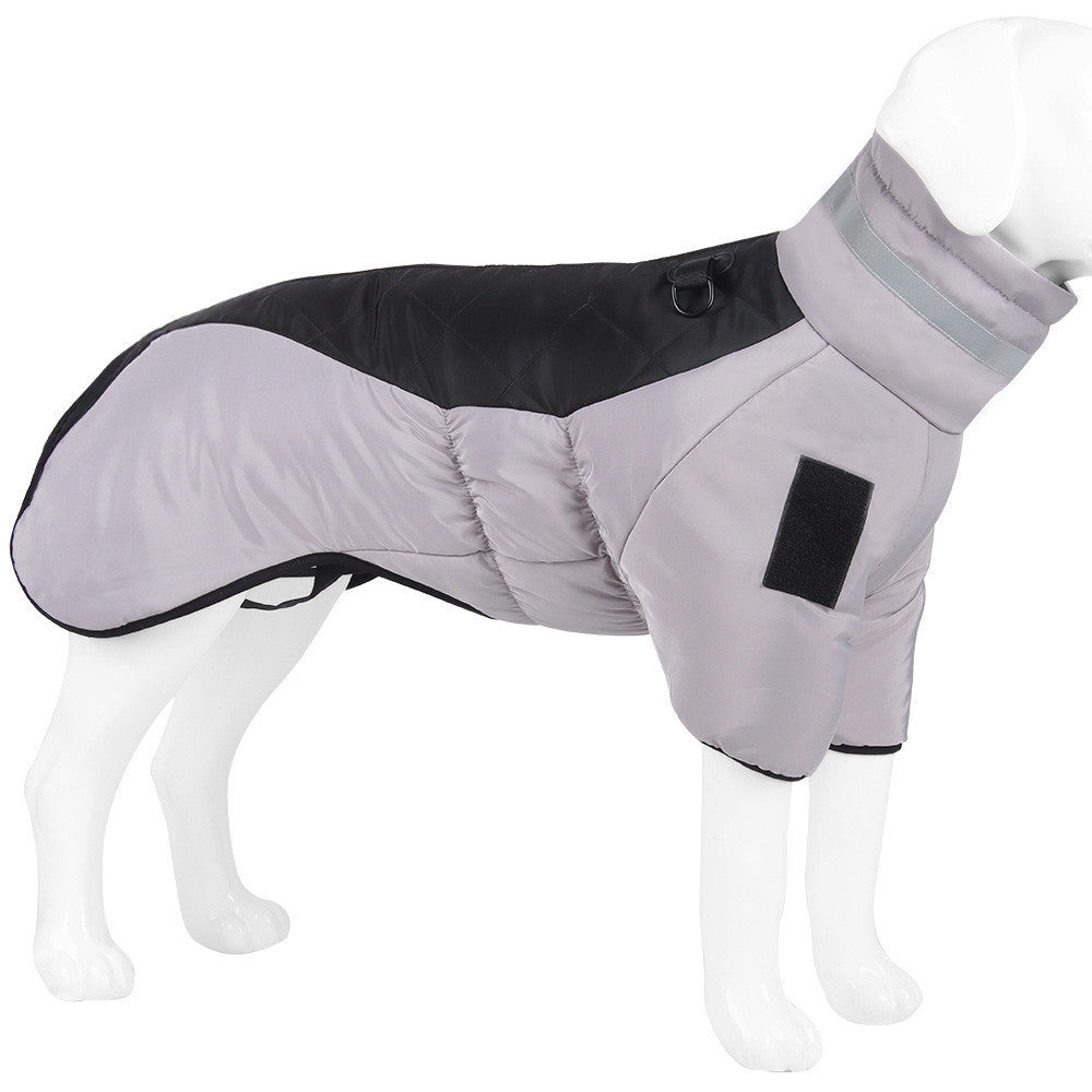 Dog coat