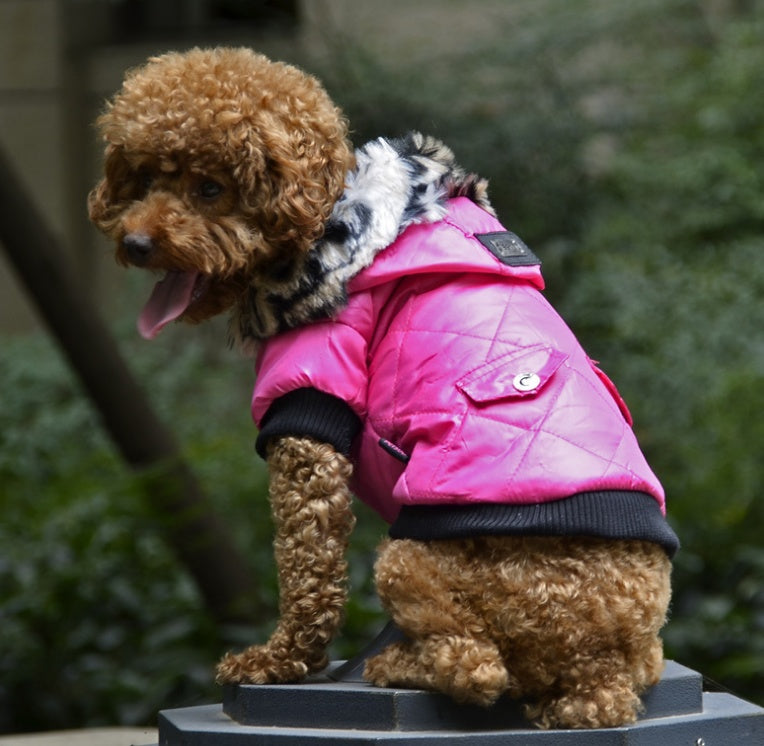 Dog autumn and winter fur collar coat