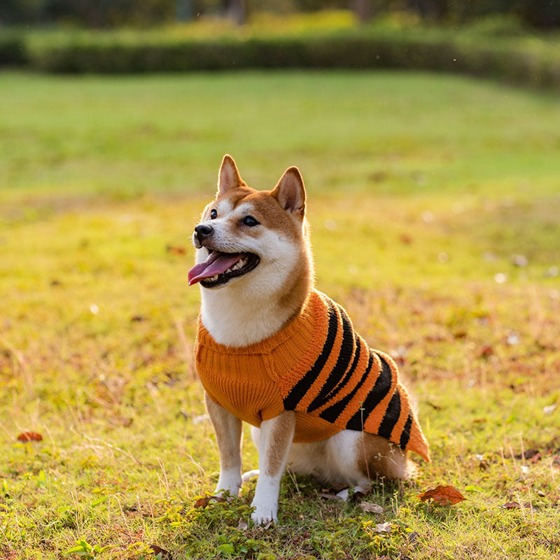 Halloween Dog Sweaters