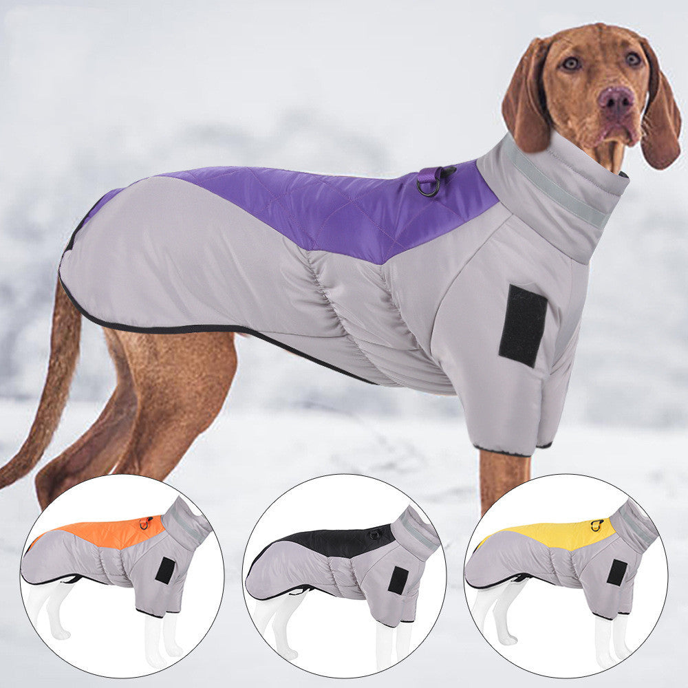 Dog coat