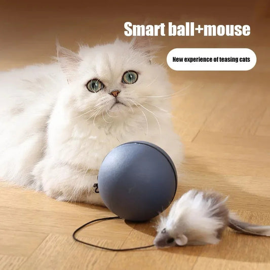 Cat Toys Mouse Teaser Ball