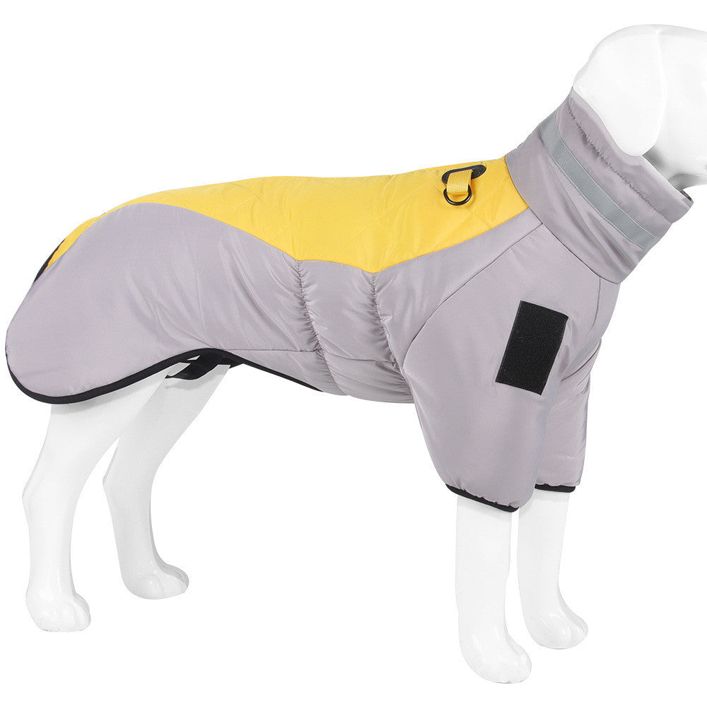 Dog coat