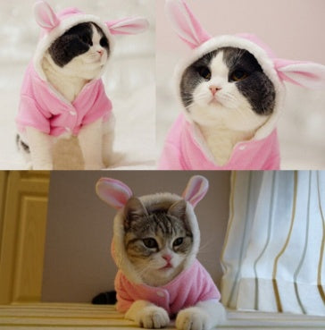 Cat Mascots Costume