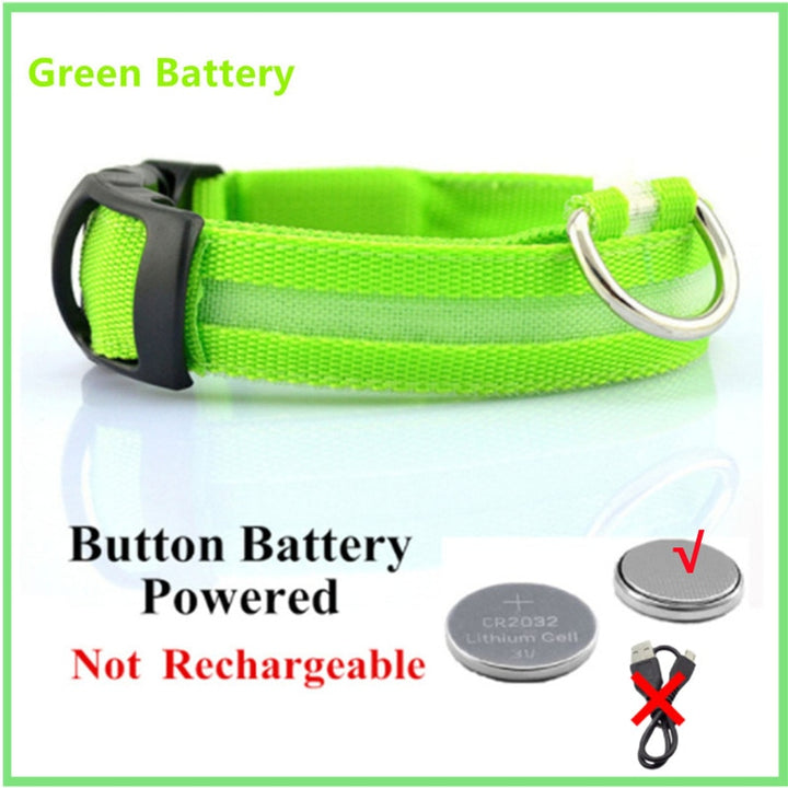 LED Glowing Dog Collar Adjustable Flashing - Ramasta