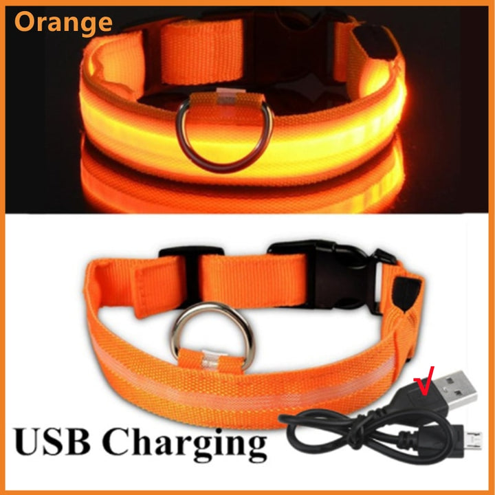 LED Glowing Dog Collar Adjustable Flashing - Ramasta