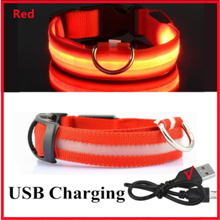LED Glowing Dog Collar Adjustable Flashing - Ramasta
