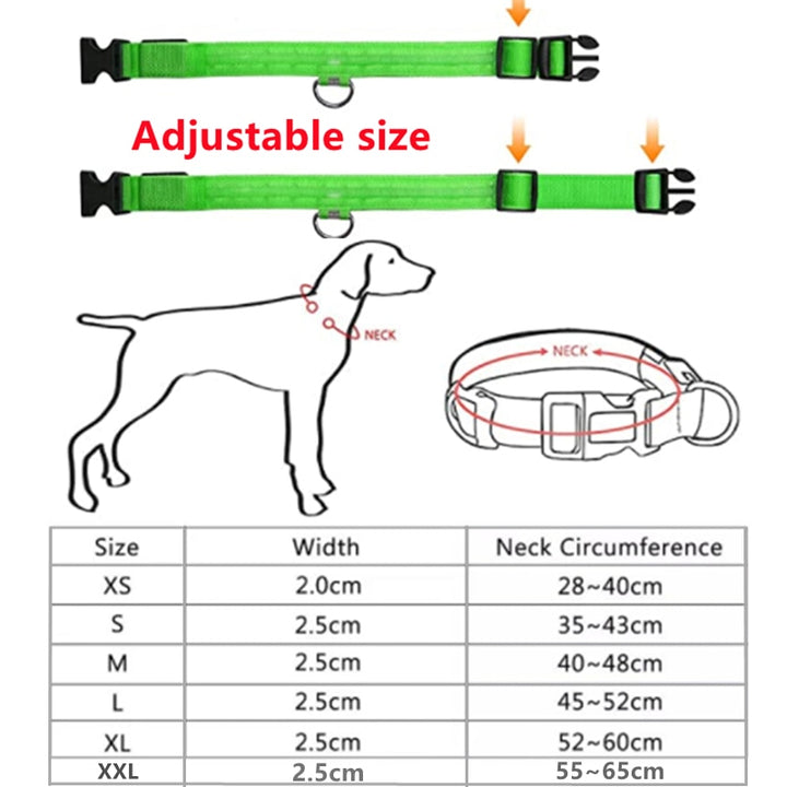 LED Glowing Dog Collar Adjustable Flashing - Ramasta
