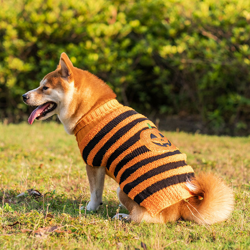 Halloween Dog Sweaters