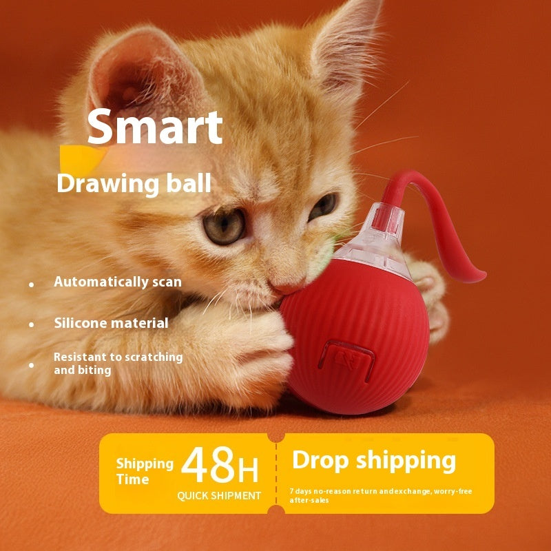 Interactive Cat Toy Ball