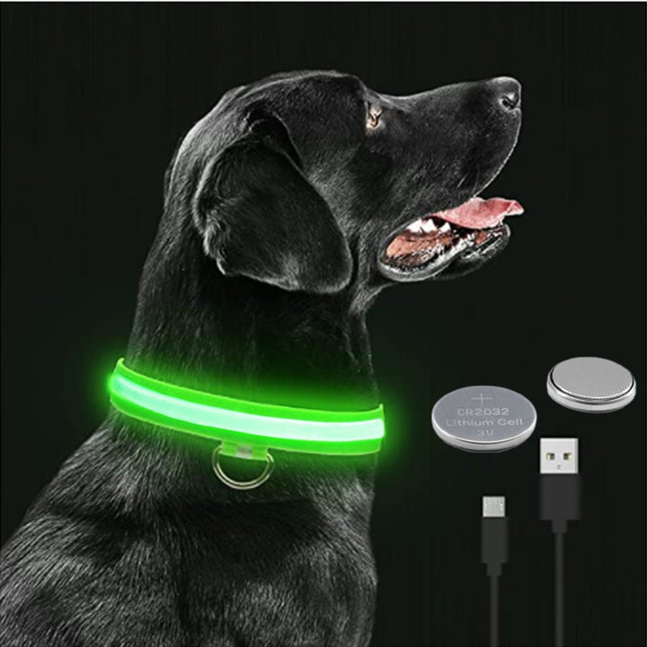 LED Glowing Dog Collar Adjustable Flashing - Ramasta